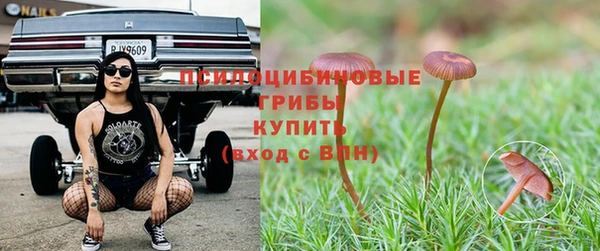 гидра Богородицк