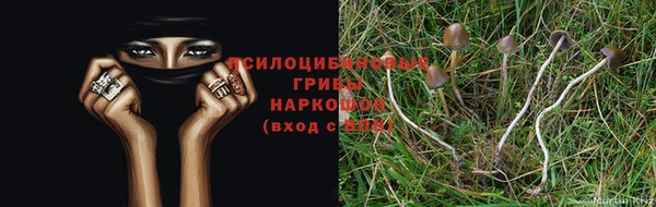 СК Белокуриха